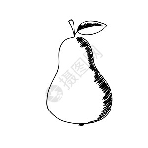 白色背景梨的轮廓图 秋夏可爱的水果 食物的概念 邀请函 海报 卡片的矢量打印 孤立的图标图片