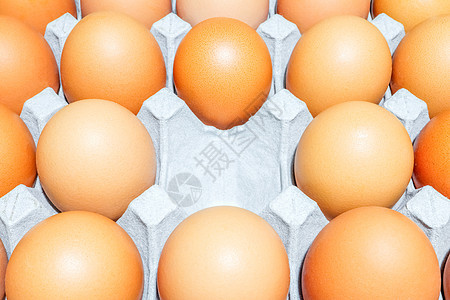 整个框架以鸡蛋为背景的托盘和鸡蛋盒子纸盒农场白色早餐蛋壳棕色团体动物图片