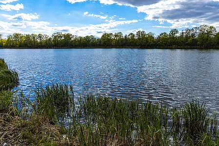 巴加尔湖大湖上小半岛海岸 阳光明媚的云天树木环境旅行支撑天空旅游半岛反射太阳蓝色图片