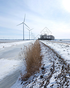 蓝色天空下方的佛罗兰地杜特奇产卵石中的雪田和运河图片