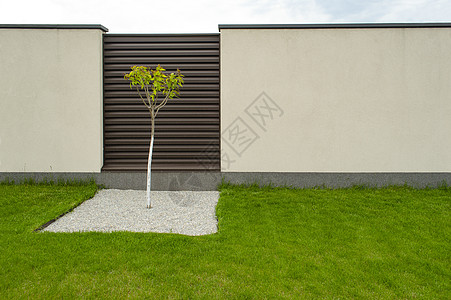 绿草上一块方形石头上的树 背景是棕色和灰色的混凝土围栏 后院美化的想法 文本空间图片