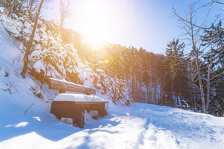 萨尔茨堡盖斯贝格的白雪覆盖了长凳 太阳和森林早起季节糖霜场景白色冬令座位木头长椅图片
