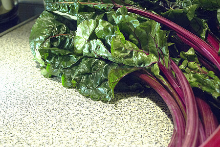 不做饭的新鲜红纸条多叶甜菜青菜树叶红色紫色植物叶子沙拉健康图片