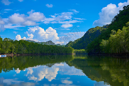 红树林间纯自然景观河流旅游反射场景顶峰爬坡国家旅行太阳风景蓝色图片