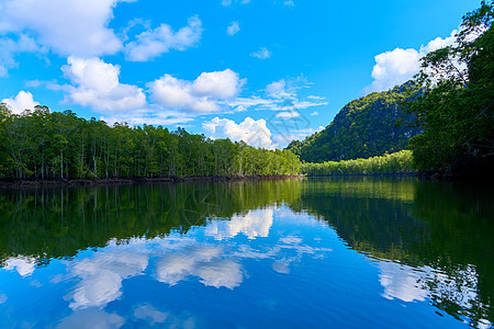红树林间纯自然景观河流蓝色天空反射国家爬坡假期太阳场景顶峰旅行图片