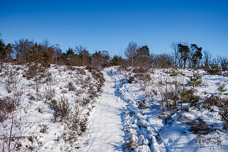 荷兰霍尔特堡附近霍特堡的景观山丘自然保护区蓝色农村环境地毯地平线季节日光娱乐爬坡图片