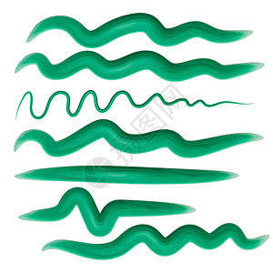 白色背景上的水彩绿色涂抹 网页 模板 海报 卡片 装饰 包装纸的矢量插图 对比五颜六色的颜色抽象图案 有质感的波浪手绘纸板笔触墨图片
