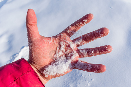 一个人在冬冷的寒冷中 手掌里握着一小撮清雪图片