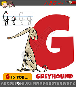 字母表中的字母 G 与卡通灰狗做图片