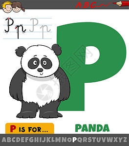 带有熊猫动物特征的字母表中的字母 P图片