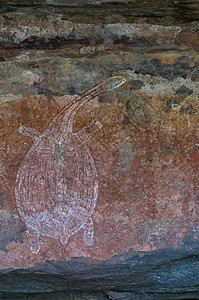 古老土著艺术 手印 动物畜群 螺旋型 澳大利亚Kakadu国家公园历史性旅行原住民考古学涂鸦历史洞穴石洞动物群壁画图片