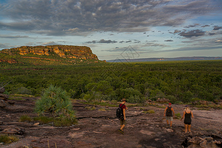 北部地区澳洲Kakadu国家公园AustraliaUbir的国家岩石艺术荒野冒险大草原环境漫滩世界遗产领土图片
