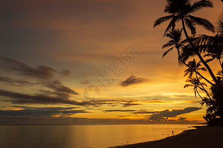 斐济斐济岛Tambua沙滩多彩的日出自然界地景比基尼橙子游客冷泉基因乐园旅游业图片