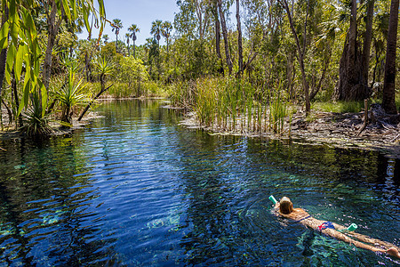 年轻女性正在澳大利亚北领地马塔兰卡沃特豪斯河的马塔兰卡温泉游泳吸引力旅游生态季节溪流领土旅行棕榈游客国家图片