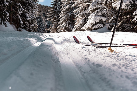 位于冬季雪林中的跨国家足迹小路森林越野风景天空荒野太阳滑雪公园假期图片