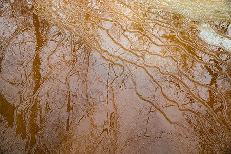 冬天在冰冻的河面上的图画 树木在冰面光滑的表面上的倒影 冬天树林里的野生冰冻小河 日落时的野性 红色的河流 冰场景公园溪流荒野反图片