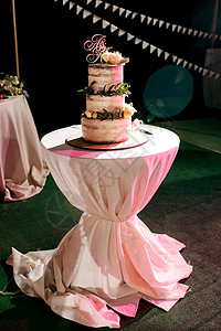 新婚夫妇结婚时的婚礼蛋糕瓶子蓝色庆典花朵食物甜点蜡烛浆果馅饼乡村图片