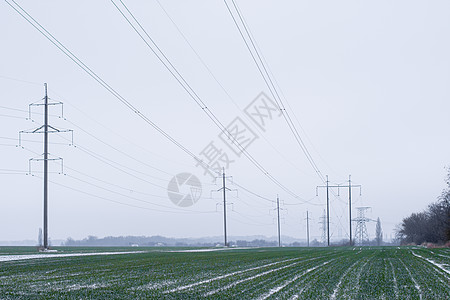 高压塔电线和田野的视野 冬天播种冬季小麦 (笑声) “冬小麦”是一座大草原图片