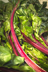 不做饭的新鲜红纸条植物收成叶子紫色树叶红色甜菜乡村饮食彩虹图片