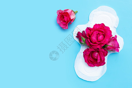 白色卫生餐巾 蓝色背景的红玫瑰 复制空间棉布月经女孩女性内裤花瓣软垫成人药品洗手间图片