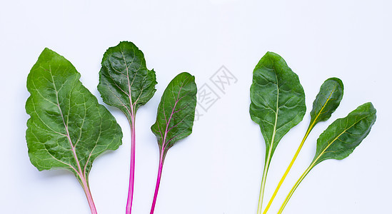 白色的新鲜树枝卡片饮食沙拉美食青菜生产花园收成甜菜农业农场图片