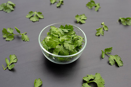 Coriander在黑暗背景下离开营养香菜沙拉叶子花园食物烹饪香料草本植物小枝图片