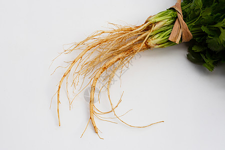 白色背景上的新鲜椰菜根味道种子叶子枝条小枝香料烹饪植物沙拉营养图片