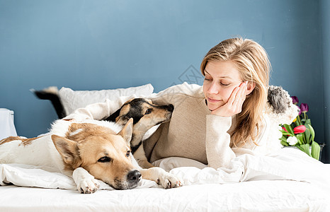 快乐的年轻女人和她的狗躺在床上说谎蓝色成人女性友谊房间动物犬类宠物乐趣图片