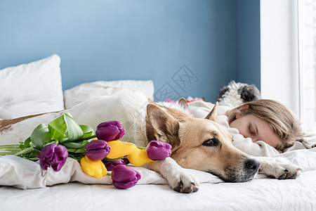 快乐的年轻女人和她的狗躺在床上毯子休息说谎乐趣动物郁金香女孩成人幸福蓝色图片