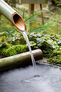 竹管流出的水寺庙花园管子文化旅行盆地喷泉植物环境森林图片