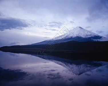 富士山在湖中反射树叶风景旅游场景樱花日出地标天空火山旅行图片