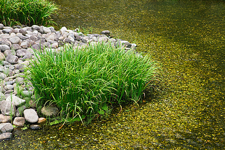 日本花园池塘图片
