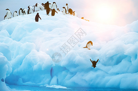 企鹅从冰川下潜入大海气候天空插图海洋动物蓝色野生动物冻结旅行风景图片