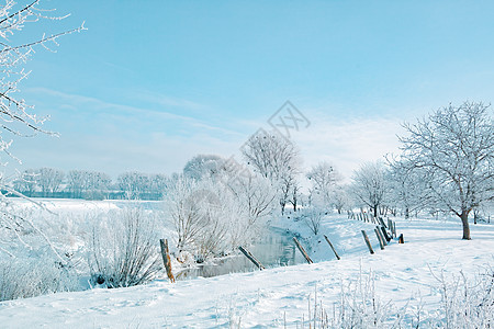 冬季太阳下雪覆盖的风景森林温度植物乡村天气衬套村庄阳光人行道木头图片