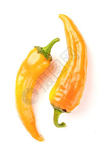 橙菊花植物黄色寒冷食物小吃香料白色胡椒烹饪蔬菜图片