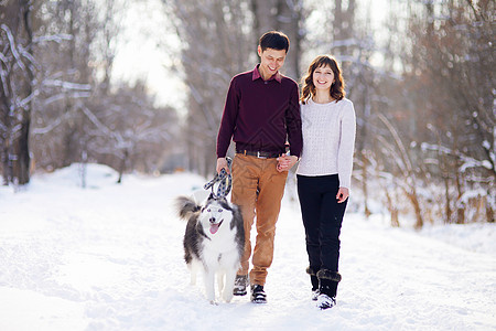 年轻夫妇在冬季公园笑笑和玩得开心 带着他们的哈斯基狗女孩男人乐趣男性朋友女士微笑树木家庭成人图片