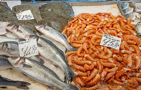 鱼虾和鱼出售图片
