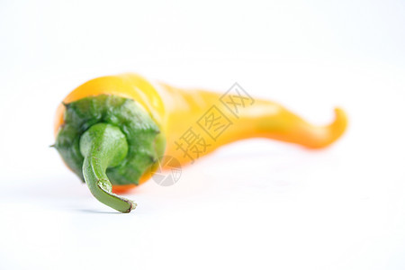 橙菊花香料辣椒烹饪蔬菜工作室胡椒植物食物寒冷小吃图片