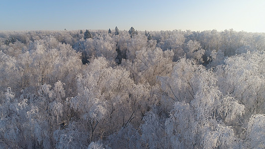 农村冬季风景状况鸟瞰图乡村白色木头场景森林季节性图片