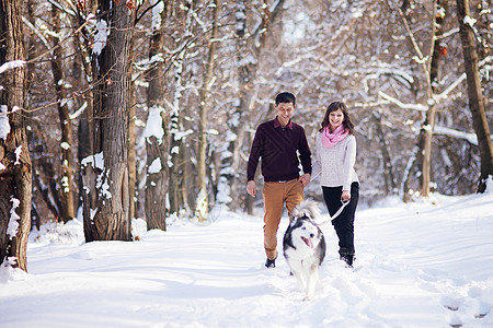 年轻夫妇在冬季公园笑笑和玩得开心 带着他们的哈斯基狗动物微笑宠物家庭乐趣女士夹克成人朋友女孩图片