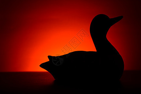 上午 隆电话水禽阴影淡水日落湖岸野生动物鸭子剪影荒野鸟类图片