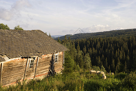 Skeikampen附近的旧小屋图片