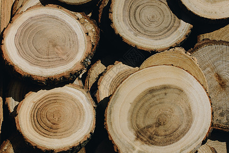 木板圆片天然木原木图片