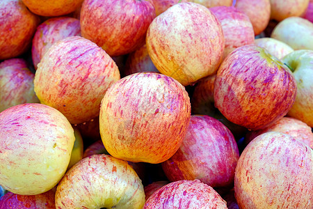 苹果水果饮食损失植物皱纹团体食物营养矿物质甜点维生素图片