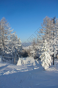 冬季雪雪山景观天线蓝色旅游森林季节高山滑雪天气假期针叶图片