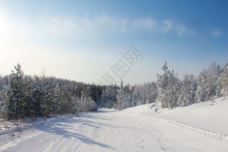 冬季雪雪山景观村庄针叶森林旅行运动云杉木头地形树木高山图片