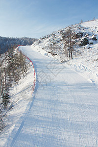 冬季雪雪山景观旅行旅游季节高山森林单板蓝色天空针叶木头图片