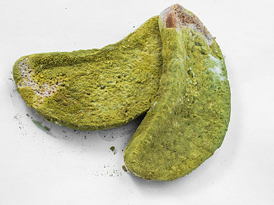 白色背景孤立的一块面包 上面盖着绿色模子青霉素微生物真菌细菌食物宏观腐烂生长模具病菌图片