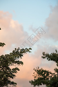 在天空中发现黑暗和灰暗的乌云气氛季节飓风气候危险天堂蓝色晴天臭氧环境图片