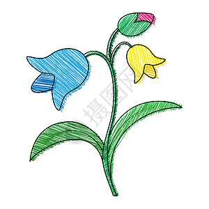 一朵花的空彩色轮廓与花瓣 白色背景上孤立的涂鸦风格轮廓 着色卡剪贴簿的平面设计填色电路绘画生态表格手绘草图明信片促销活动插图图片
